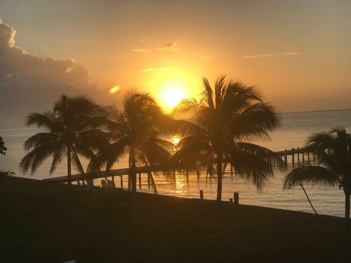 Tilt-Ta-Dock Resort Belize Corozal Eksteriør billede