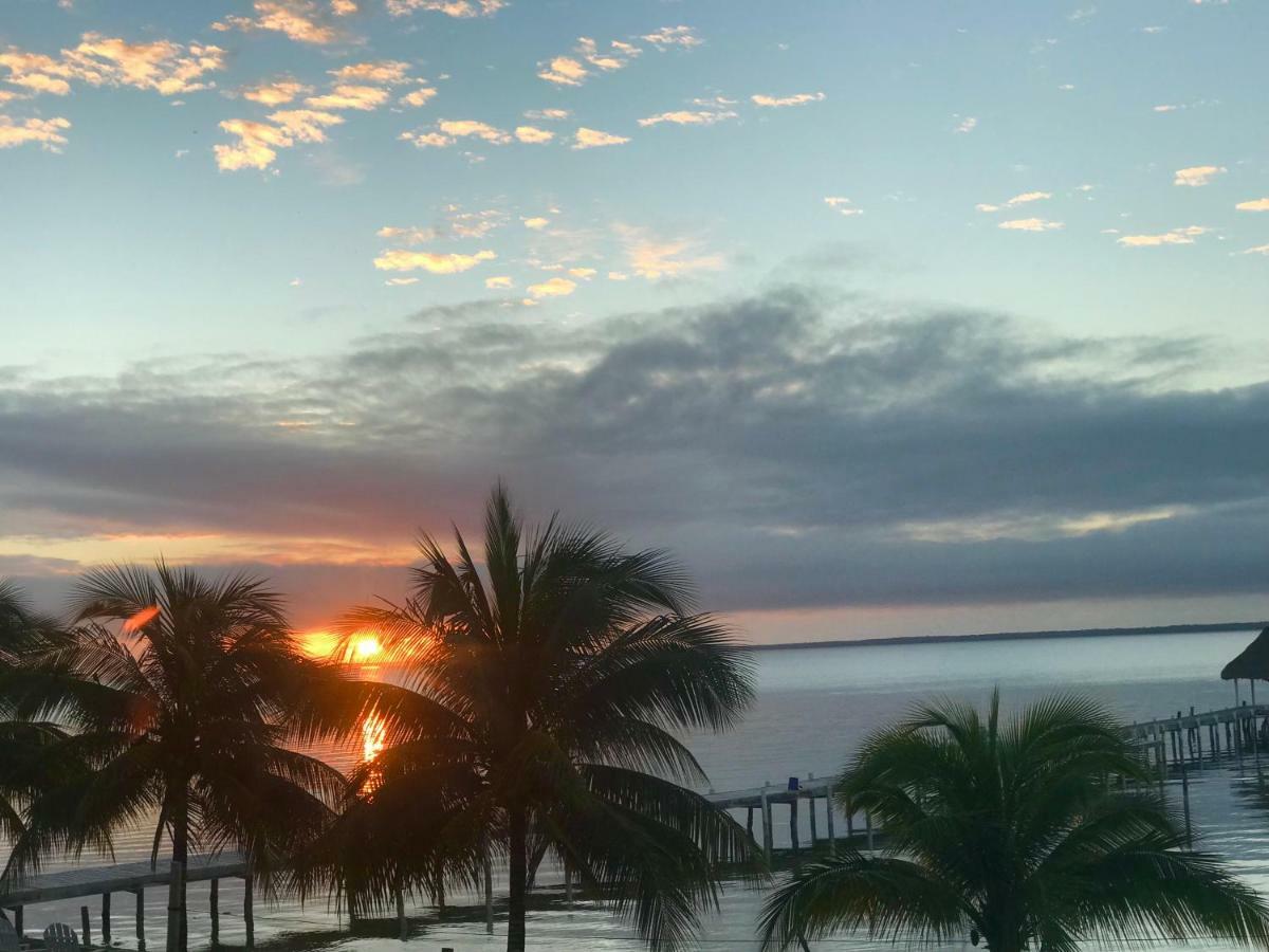 Tilt-Ta-Dock Resort Belize Corozal Eksteriør billede
